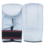 Boxing Mitts